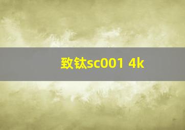 致钛sc001 4k